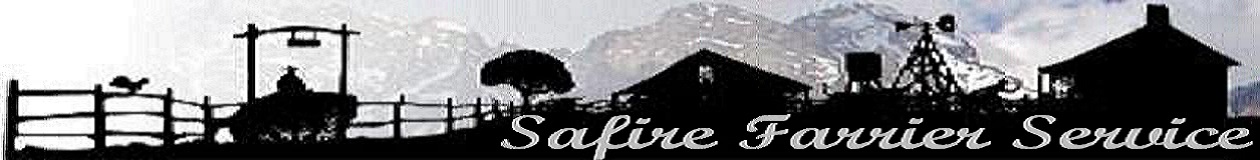 Safire Farrier Services 